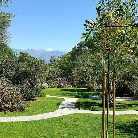 A Merula Calvi (Corsica)