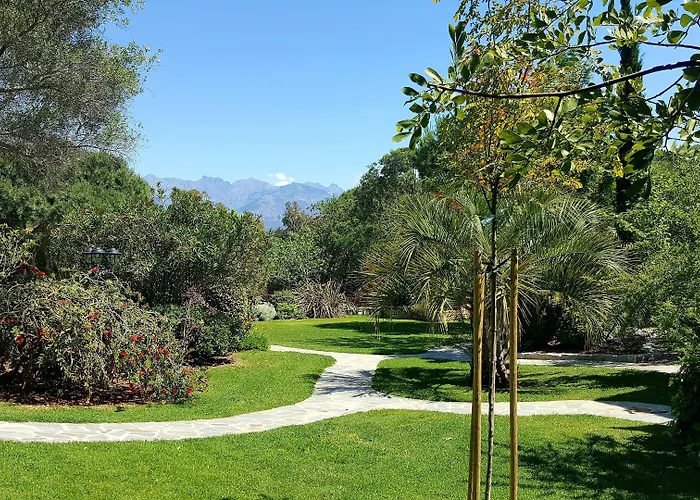 A Merula Calvi (Corsica)